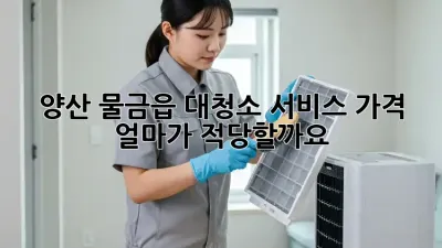 양산 물금읍 대청소 서비스 가격, 얼마가 적당할까요?