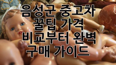 음성군 중고차 꿀팁🍯: 가격 비교부터 완벽 구매 가이드!